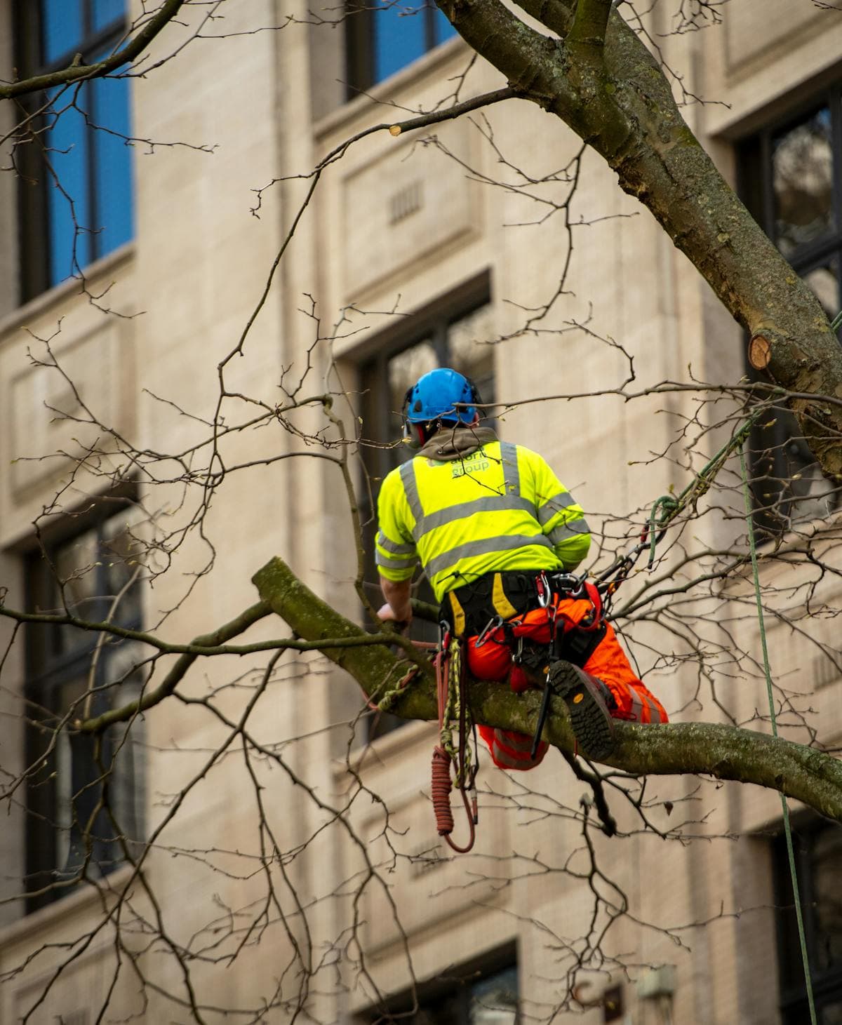 Tree trimming service with equipment in a residential yard